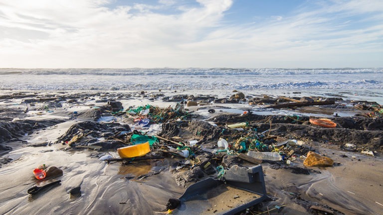 Plastics and other waste on a beach