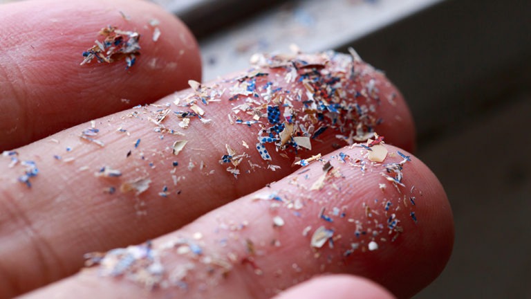 Microplastics on fingertips