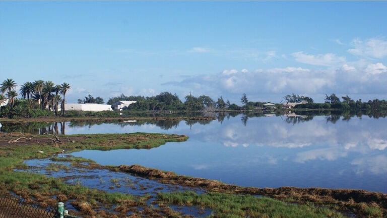 Photo of water mass, stormwater in the County of Maui