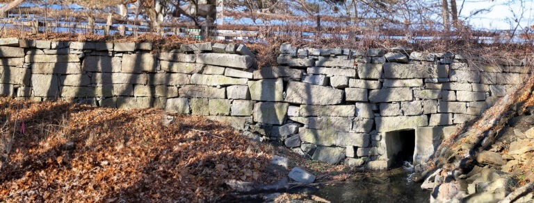 A stone wall with trees and leaves