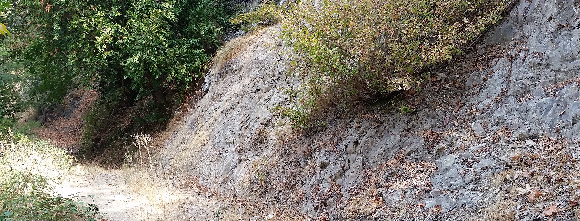 View along the historic railroad bed, under which the pipeline in question sits near the ground surface.